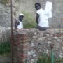 MigrantiMLR4