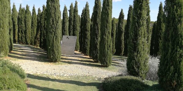 giardinoSensoriale_CentroMare (12)