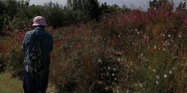 giardinoSensoriale_CentroMare (13)