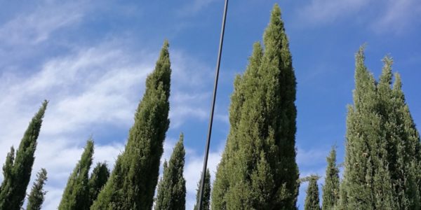 giardinoSensoriale_CentroMare (14)