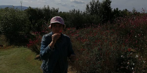 giardinoSensoriale_CentroMare (15)