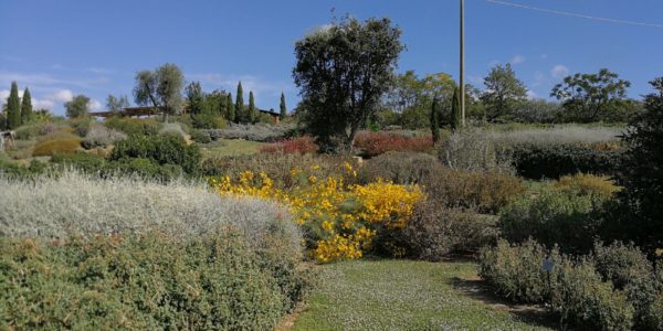 giardinoSensoriale_CentroMare (16)