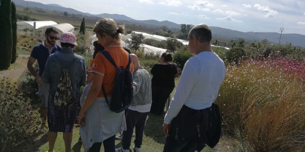 giardinoSensoriale_CentroMare (18)