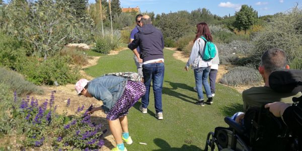 giardinoSensoriale_CentroMare (3)