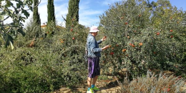 giardinoSensoriale_CentroMare (4)