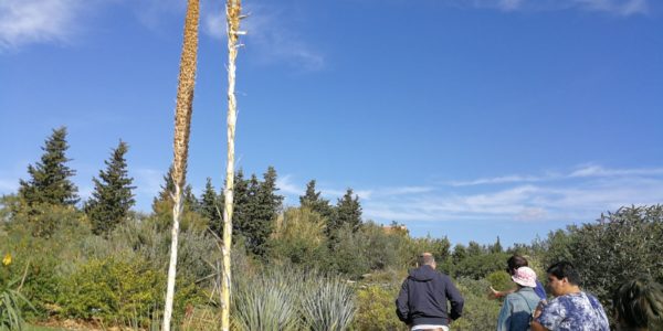 giardinoSensoriale_CentroMare (5)