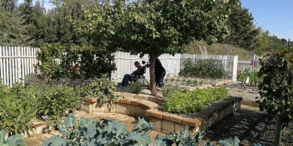 giardinoSensoriale_CentroMare (9)