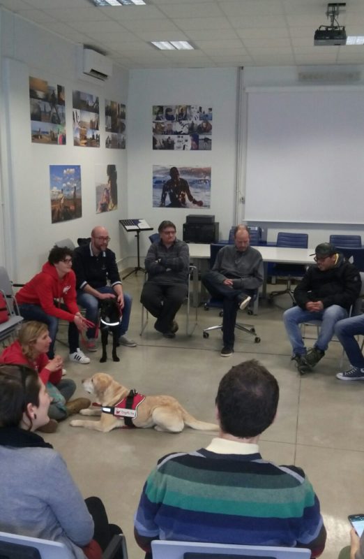 PetTherapy (3)