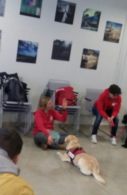 PetTherapy (4)