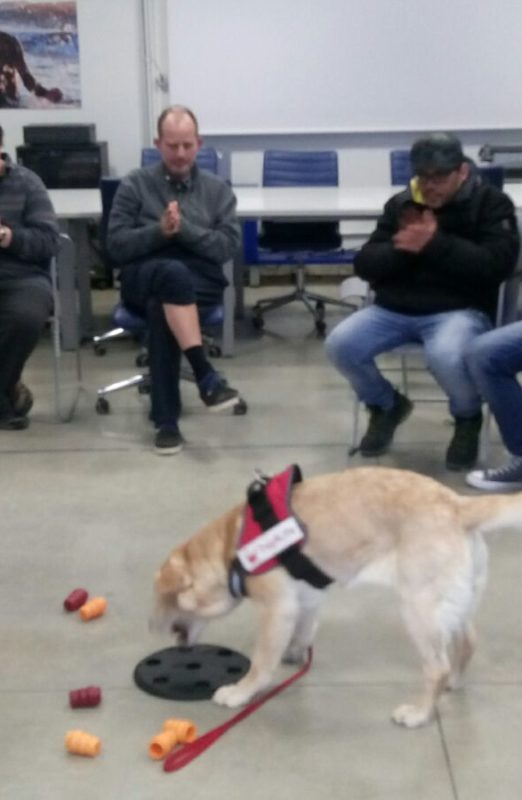 PetTherapy (5)