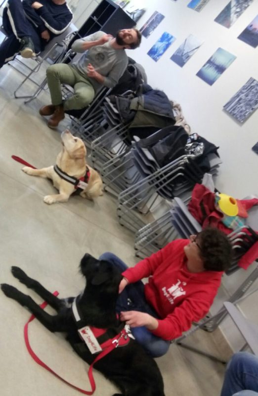 PetTherapy (9)