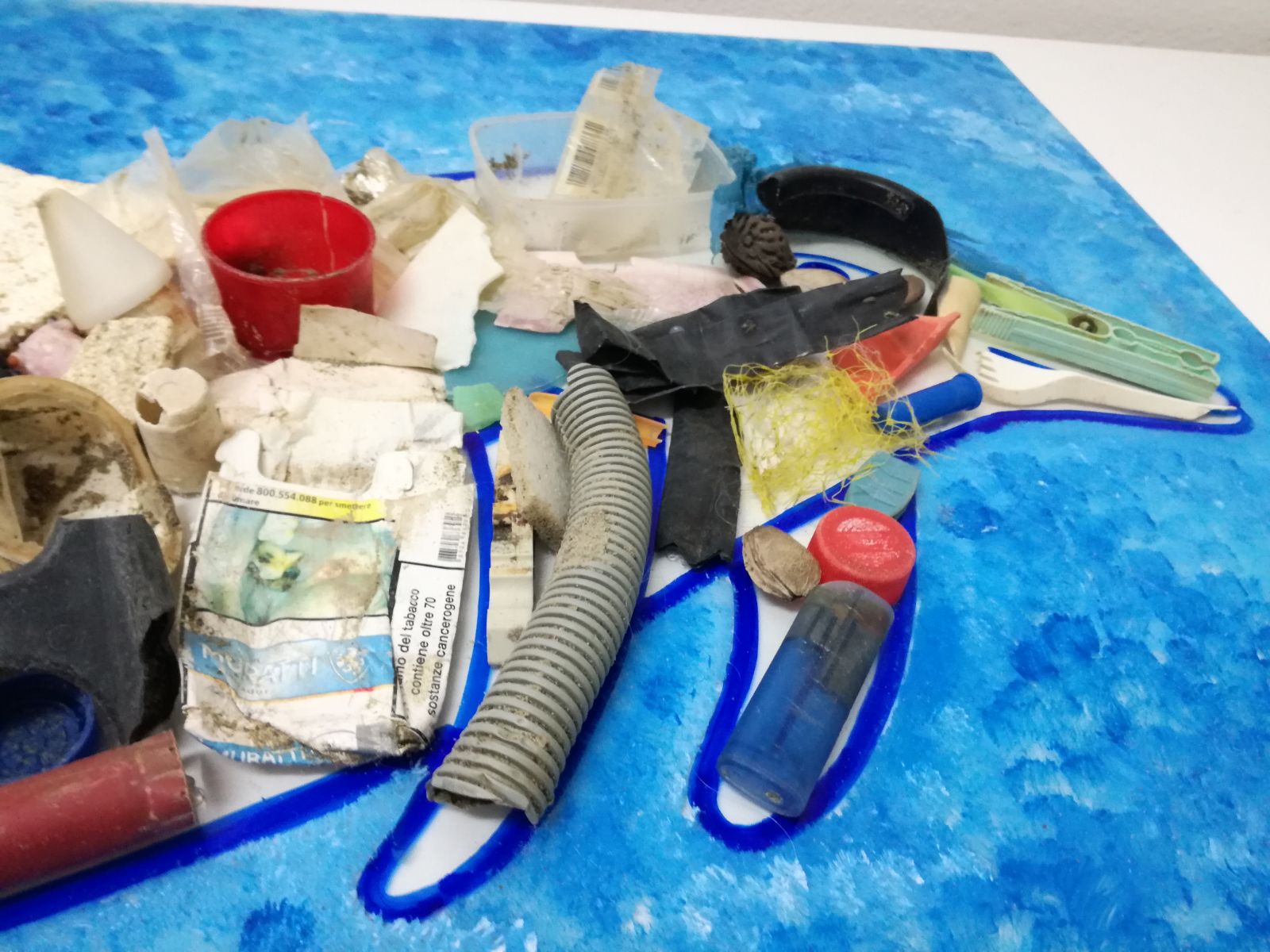 Per il progetto Pelagos, in gara anche “Il Delfino” di Marina di Grosseto