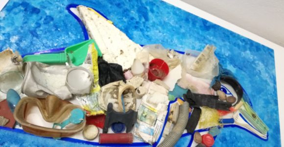 ConcorsoProgettoPelagos-Delfino (7)