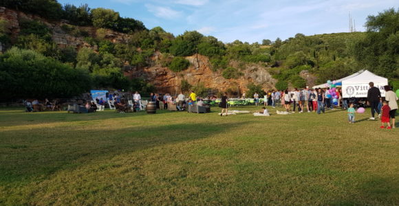FestaCoop2018 (2)