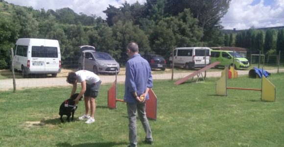 PetTherapy2018 (1)