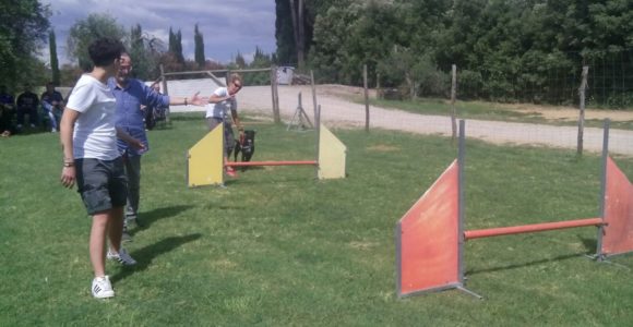 PetTherapy2018 (10)