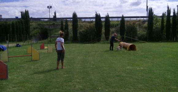 PetTherapy2018 (6)