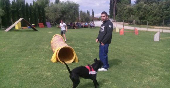 PetTherapy2018 (7)