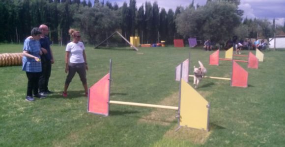 PetTherapy2018 (9)
