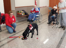 PetTherapyCostaDArgento (1)