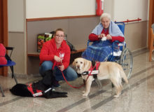 PetTherapyCostaDArgento (3)