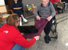 PetTherapyOrbetello (1)