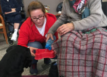 PetTherapyOrbetello (2)