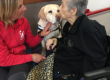 PetTherapyOrbetello (7)