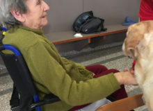 PetTherapyOrbetello (8)