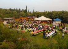 FestaGrossetoAlto