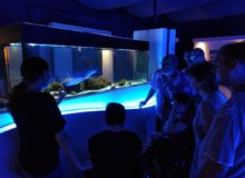 acquarioTalamone-sole-2
