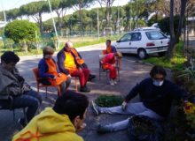 AgricolturaSocialeSole2