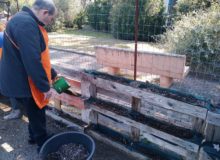AgricolturaSocialeSole3
